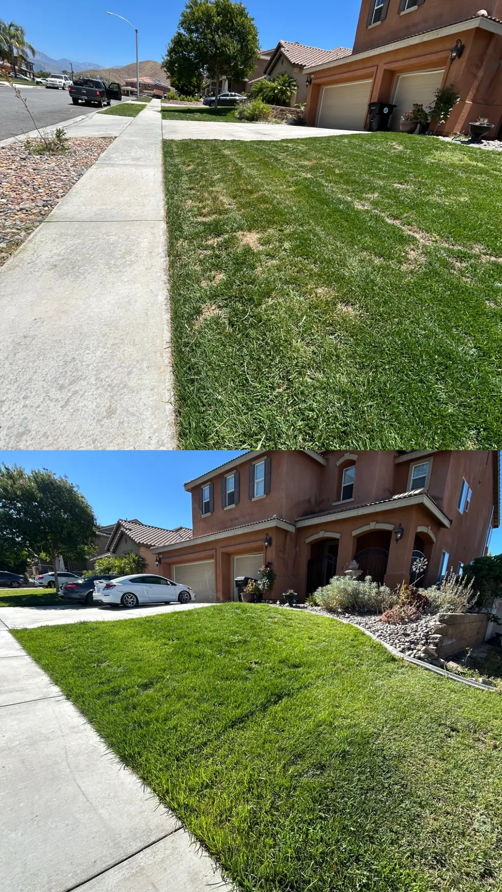 Landscaping project in progress